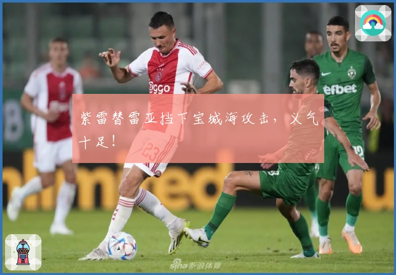 紫雷替雷亚挡下宝城海攻击，义气十足！