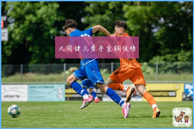 大同健儿勇夺金铜佳绩