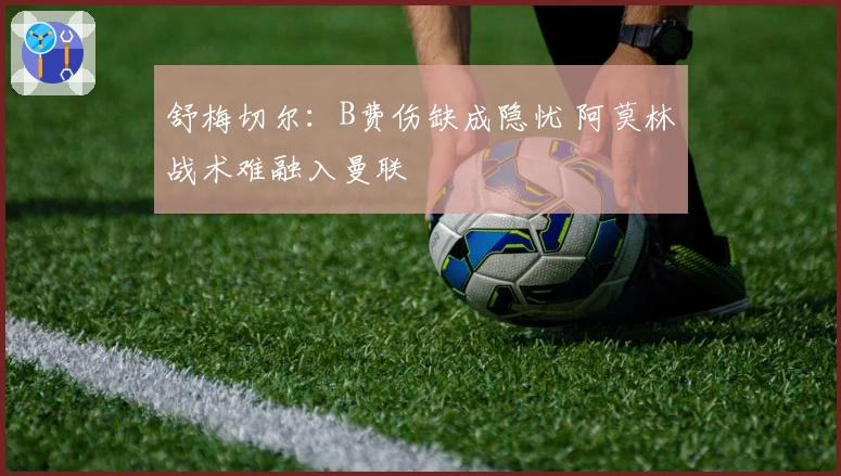 舒梅切尔：B费伤缺成隐忧 阿莫林战术难融入曼联