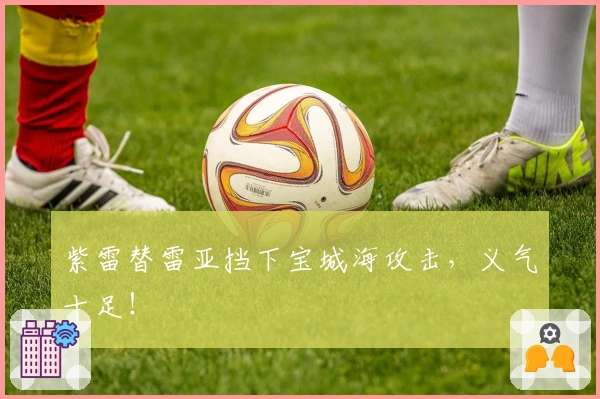 紫雷替雷亚挡下宝城海攻击，义气十足！