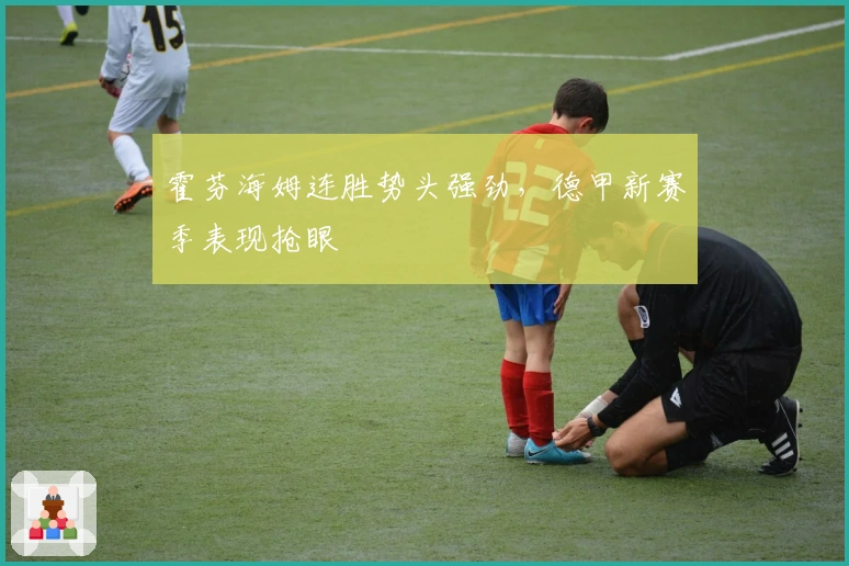 霍芬海姆连胜势头强劲，德甲新赛季表现抢眼